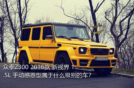 众泰Z300 2016款 新视界 1.5L 手动感恩型属于什么级别的车？