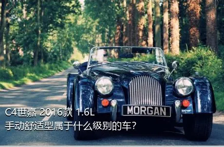 C4世嘉 2016款 1.6L 手动舒适型属于什么级别的车？