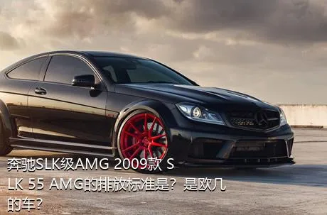 奔驰SLK级AMG 2009款 SLK 55 AMG的排放标准是？是欧几的车？