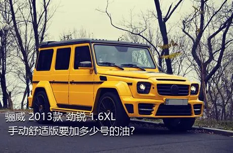 骊威 2013款 劲锐 1.6XL 手动舒适版要加多少号的油？