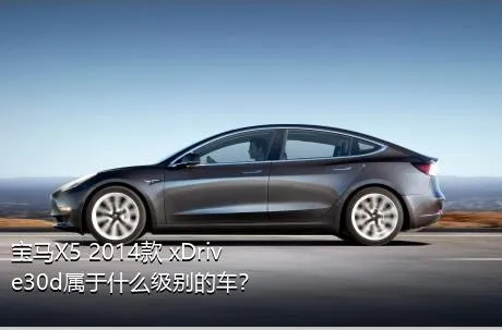 宝马X5 2014款 xDrive30d属于什么级别的车？