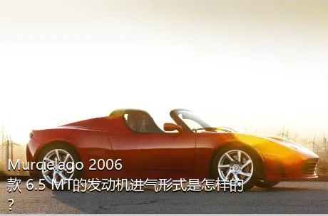 Murcielago 2006款 6.5 MT的发动机进气形式是怎样的？