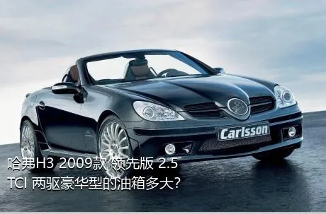 哈弗H3 2009款 领先版 2.5TCI 两驱豪华型的油箱多大？