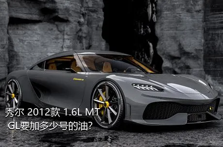 秀尔 2012款 1.6L MT GL要加多少号的油？