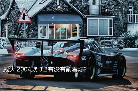 威达 2004款 3.2有没有前雾灯？