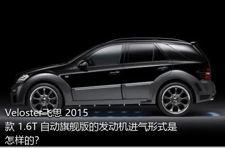 Veloster飞思 2015款 1.6T 自动旗舰版的发动机进气形式是怎样的？