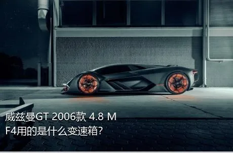 威兹曼GT 2006款 4.8 MF4用的是什么变速箱？