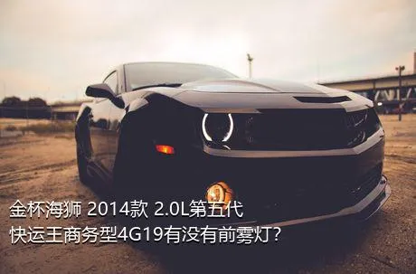 金杯海狮 2014款 2.0L第五代快运王商务型4G19有没有前雾灯？