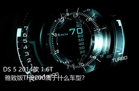 DS 5 2014款 1.6T 雅致版THP200属于什么车型？