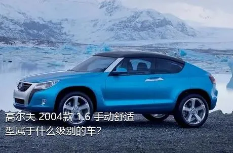 高尔夫 2004款 1.6 手动舒适型属于什么级别的车？