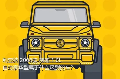 利亚纳 2008款 两厢 1.6L 自动豪华型属于什么级别的车？