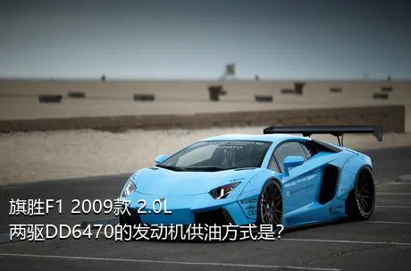 旗胜F1 2009款 2.0L 两驱DD6470的发动机供油方式是？