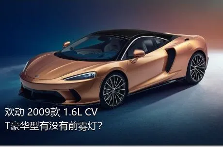 欢动 2009款 1.6L CVT豪华型有没有前雾灯？