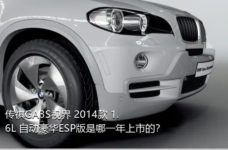 传祺GA3S视界 2014款 1.6L 自动豪华ESP版是哪一年上市的？