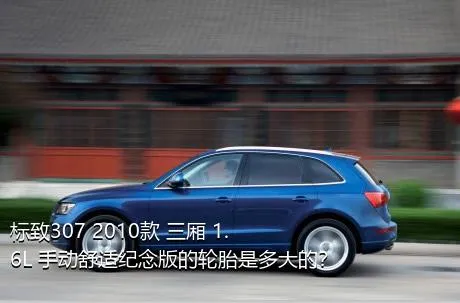 标致307 2010款 三厢 1.6L 手动舒适纪念版的轮胎是多大的？