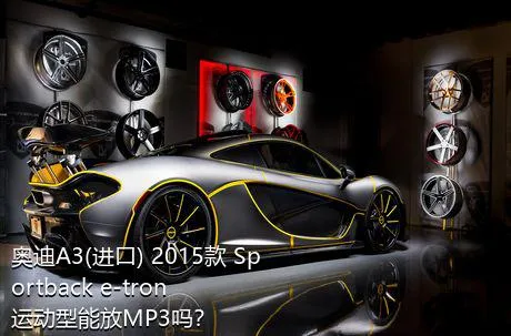 奥迪A3(进口) 2015款 Sportback e-tron 运动型能放MP3吗？