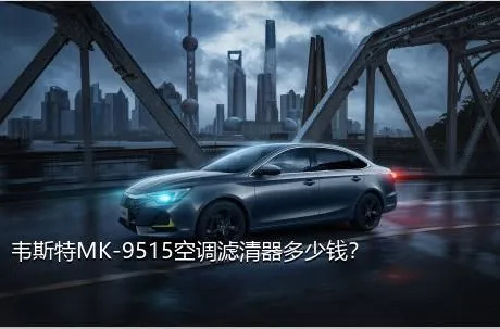 韦斯特MK-9515空调滤清器多少钱？