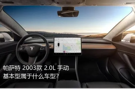 帕萨特 2003款 2.0L 手动基本型属于什么车型？