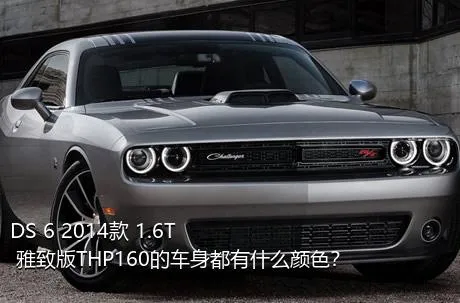 DS 6 2014款 1.6T 雅致版THP160的车身都有什么颜色？