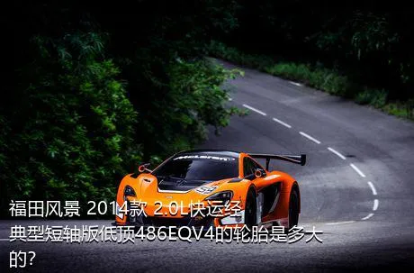 福田风景 2014款 2.0L快运经典型短轴版低顶486EQV4的轮胎是多大的？