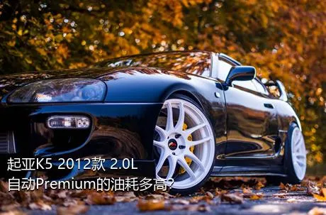 起亚K5 2012款 2.0L 自动Premium的油耗多高？