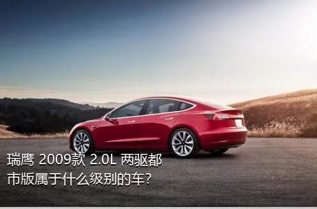 瑞鹰 2009款 2.0L 两驱都市版属于什么级别的车？