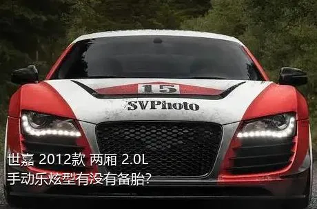 世嘉 2012款 两厢 2.0L 手动乐炫型有没有备胎？