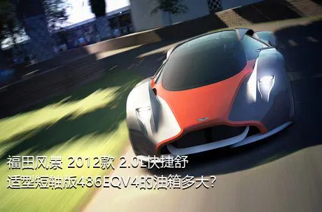 福田风景 2012款 2.0L快捷舒适型短轴版486EQV4的油箱多大？