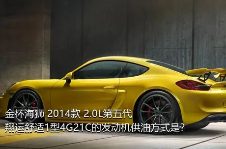 金杯海狮 2014款 2.0L第五代翔运舒适1型4G21C的发动机供油方式是？