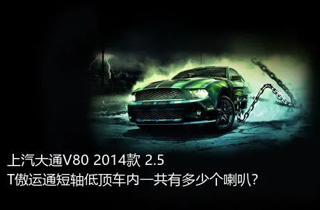 上汽大通V80 2014款 2.5T傲运通短轴低顶车内一共有多少个喇叭？