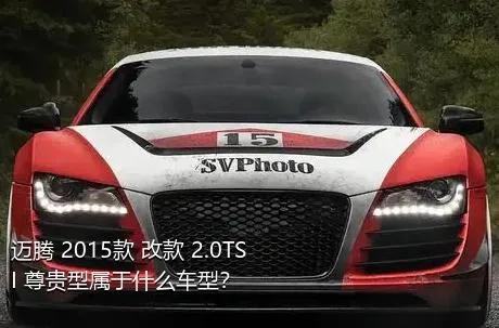 迈腾 2015款 改款 2.0TSI 尊贵型属于什么车型？