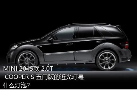 MINI 2015款 2.0T COOPER S 五门版的近光灯是什么灯泡？