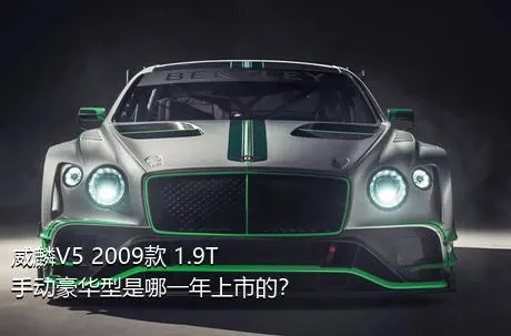 威麟V5 2009款 1.9T 手动豪华型是哪一年上市的？