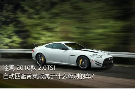 途观 2010款 2.0TSI 自动四驱菁英版属于什么级别的车？