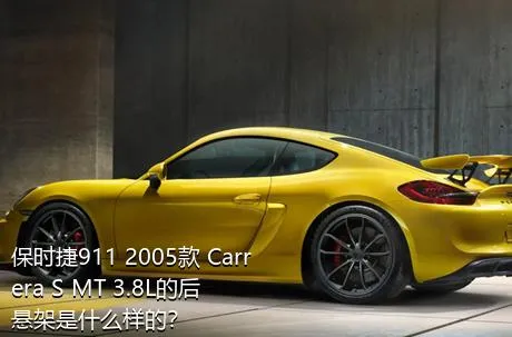 保时捷911 2005款 Carrera S MT 3.8L的后悬架是什么样的？