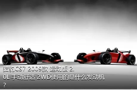 猎豹CS7 2009款 运动版 2.0L 手动舒适 2WD使用的是什么发动机？