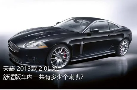 天籁 2013款 2.0L XL舒适版车内一共有多少个喇叭？