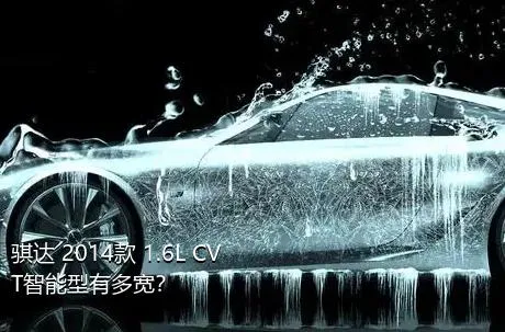 骐达 2014款 1.6L CVT智能型有多宽？