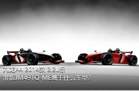 九龙A4 2014款 2.2L标准版JM491Q-ME属于什么车型？