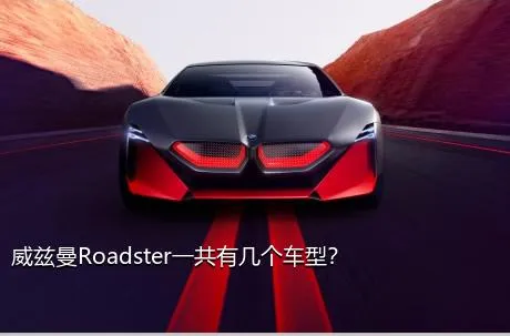 威兹曼Roadster一共有几个车型？