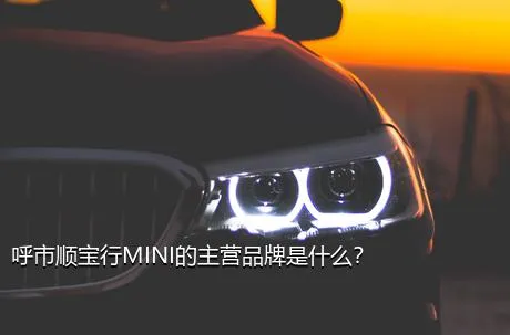 呼市顺宝行MINI的主营品牌是什么？