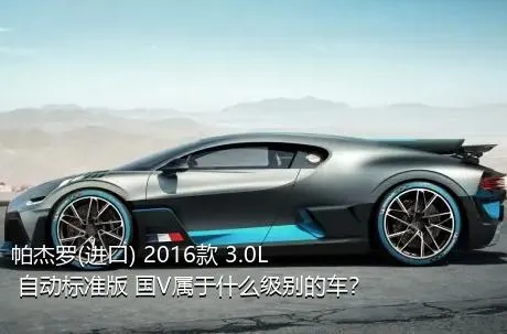 帕杰罗(进口) 2016款 3.0L 自动标准版 国V属于什么级别的车？