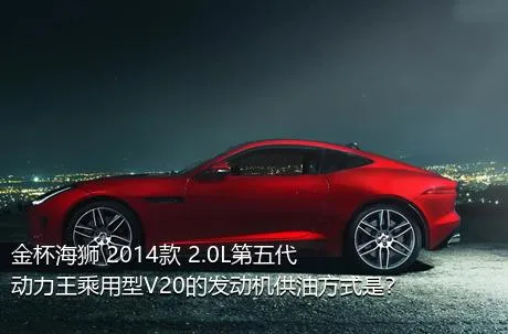 金杯海狮 2014款 2.0L第五代动力王乘用型V20的发动机供油方式是？