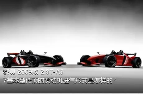 都灵 2009款 2.8T-A37基本型低顶的发动机进气形式是怎样的？