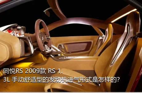 同悦RS 2009款 RS 1.3L 手动舒适型的发动机进气形式是怎样的？