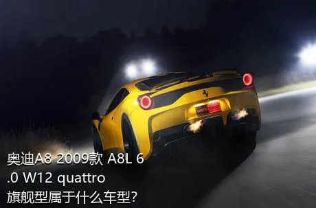 奥迪A8 2009款 A8L 6.0 W12 quattro 旗舰型属于什么车型？