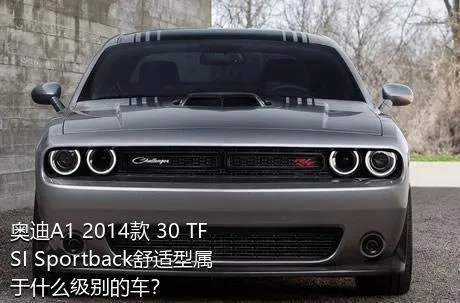 奥迪A1 2014款 30 TFSI Sportback舒适型属于什么级别的车？