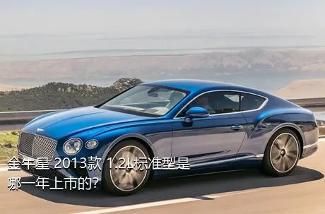 金牛星 2013款 1.2L标准型是哪一年上市的？