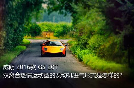 威朗 2016款 GS 20T 双离合燃情运动型的发动机进气形式是怎样的？