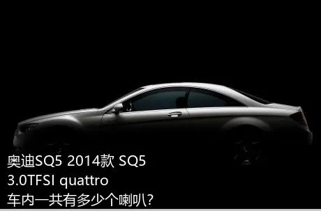 奥迪SQ5 2014款 SQ5 3.0TFSI quattro车内一共有多少个喇叭？